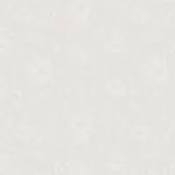 Meet your Posher, Francesca - Picture 1 of 1